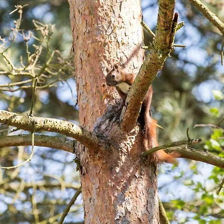 8210-knebel-kamillevej-16 Сasa de vacaciones Knebel